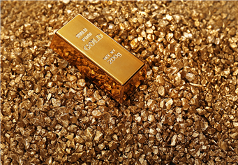 Gold Exploration Company Shares Up Pre Market 