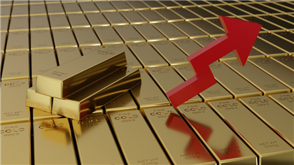 Junior Miner Unearths Highest-Ever Gold Grades, Ignites Investor Frenzy