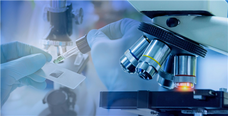 Biotech Stock Surges After Encouraging Data Monitoring Committee Recommendation