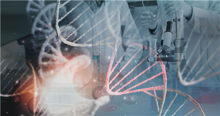 Stopping Cancer Before It Spreads: The EMT Revolution in Oncology