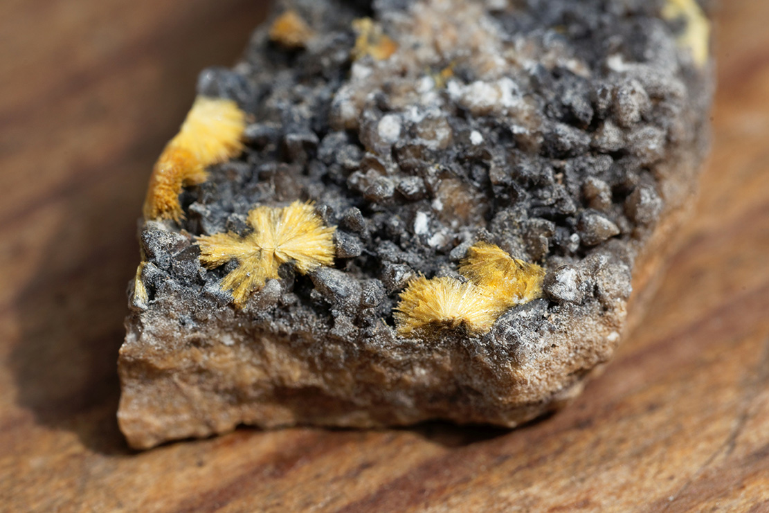 Red Lake Explorer Rises 12% on High-Grade Gold Below Historic Cole Shaft